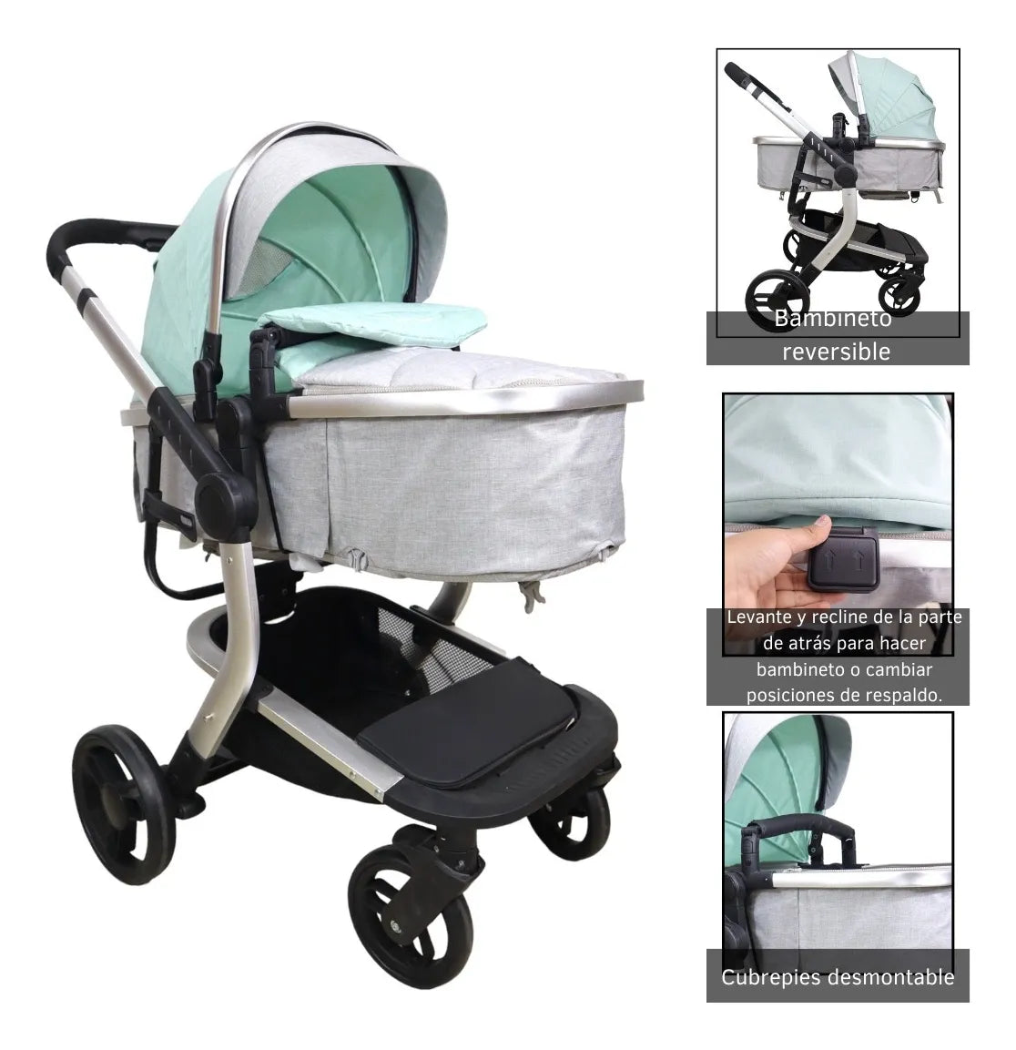 CARREOLA KELLY MENTA